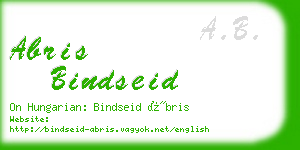 abris bindseid business card